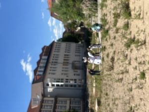 IMG_6371