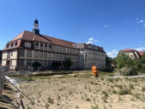IMG_6373