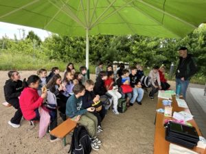 Mittel (IMG_4258)